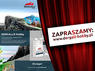 Nowa strona dergall hobby - grafika