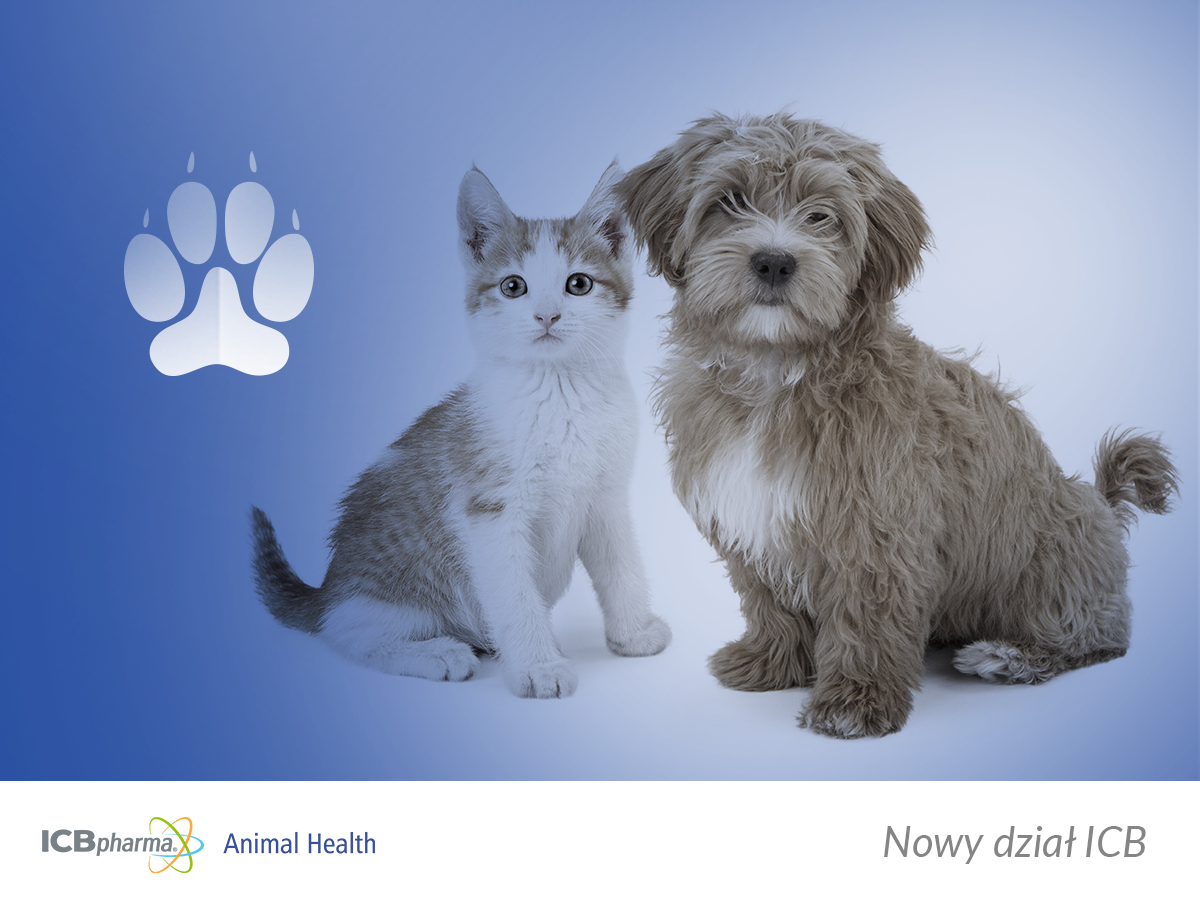 Animal Health - grafika do posta