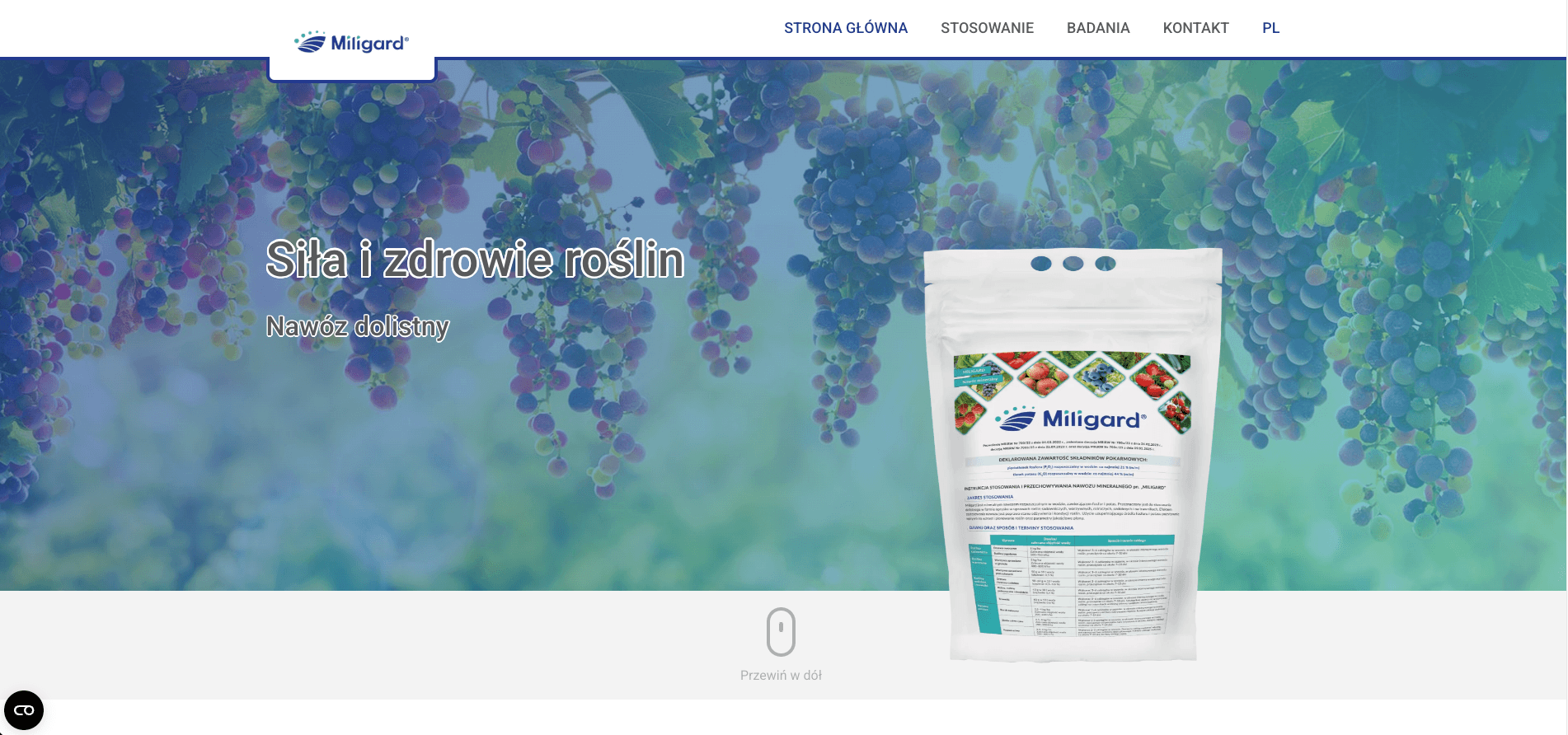 Zrzut strony internetowej miligard.com.pl