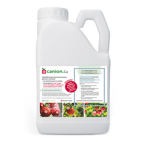 Canion Ca - zdjęcie produktu