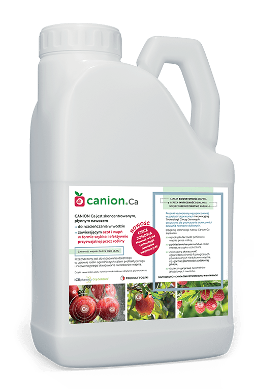 Canion Ca - zdjęcie produktu