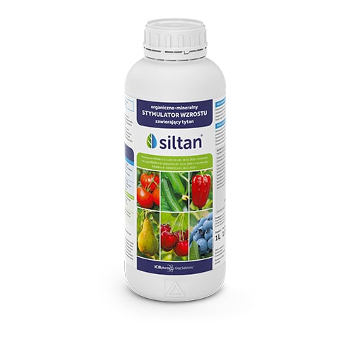 Siltan - zdjęcie produktu