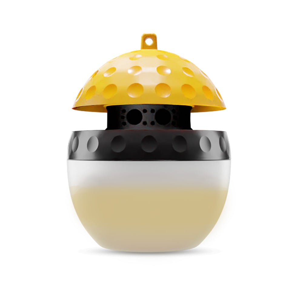 New Wasp and Fly Trap