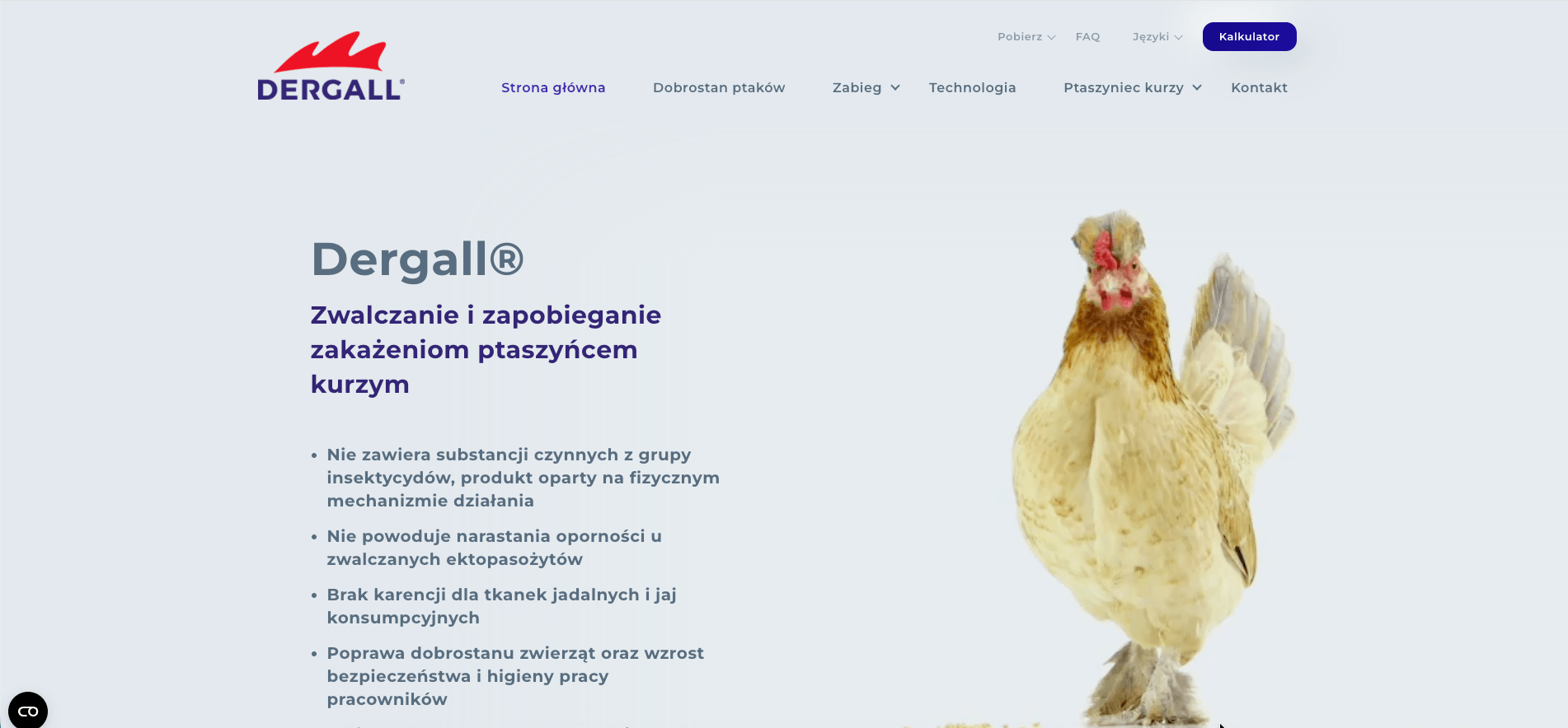 Zrzut strony internetowej dergall.pl