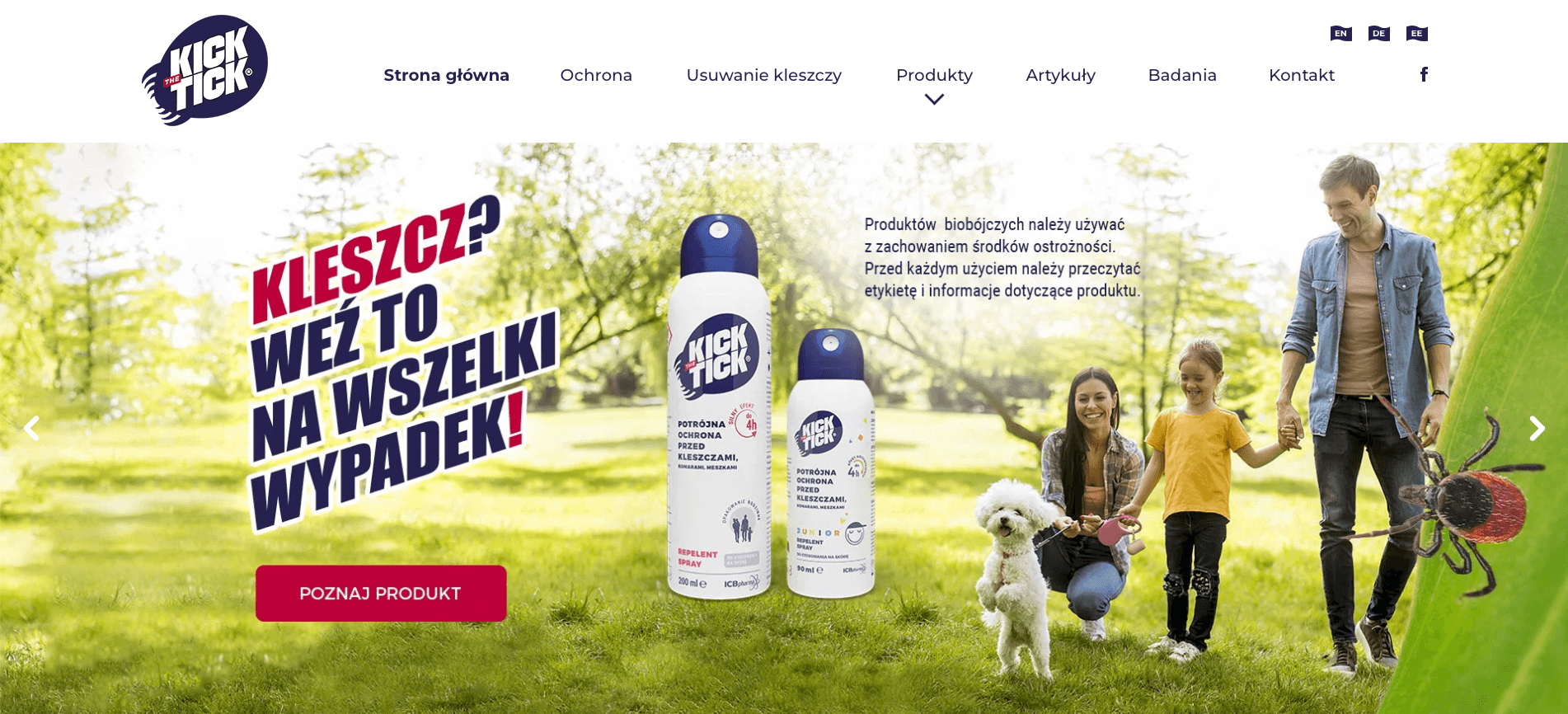 Zrzut strony internetowej kickthetick.pl