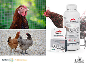 Graphics to post about World and Russian Poultry Breeding Development Trends