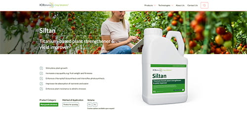 Siltan - website screenshot