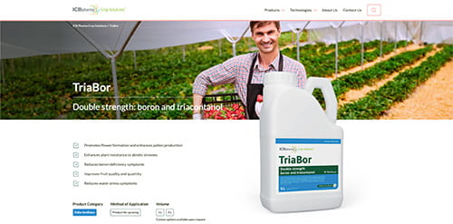 TriaBor - website screenshot