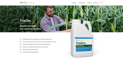 TriaZinc - website screenshot