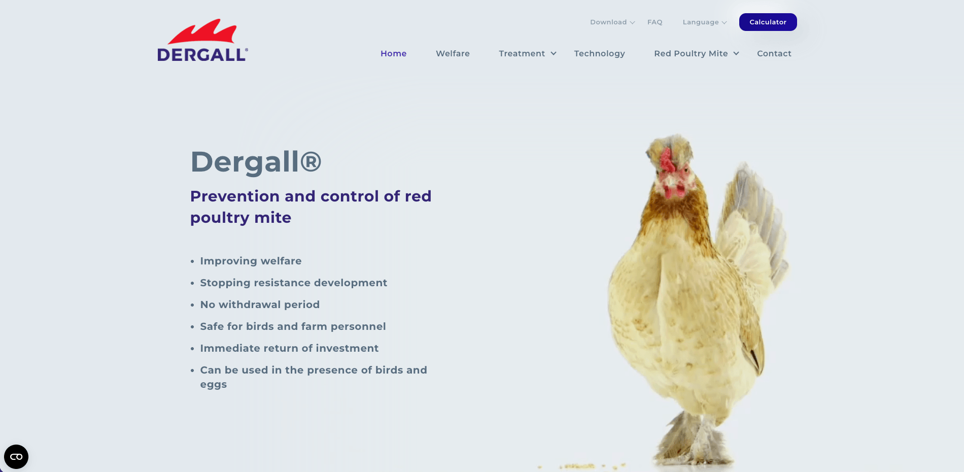 Screenshot of dergall.com website